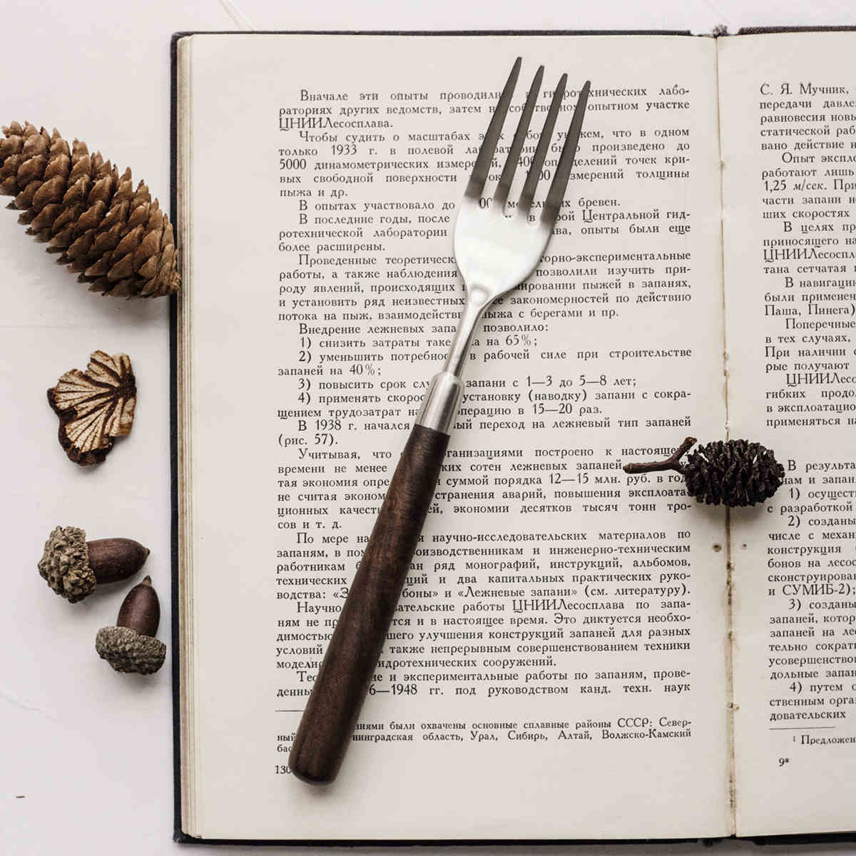 Stainless Steel Cutlery With Black Walnut Handle