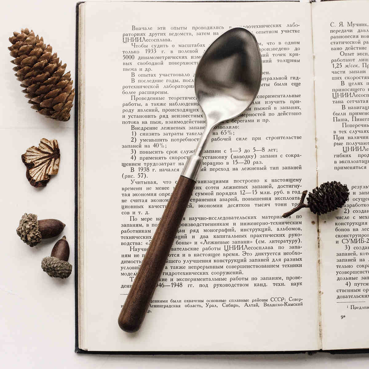 Stainless Steel Cutlery With Black Walnut Handle