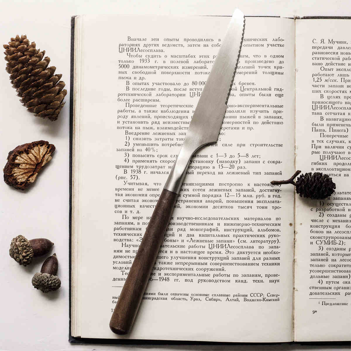 Stainless Steel Cutlery With Black Walnut Handle