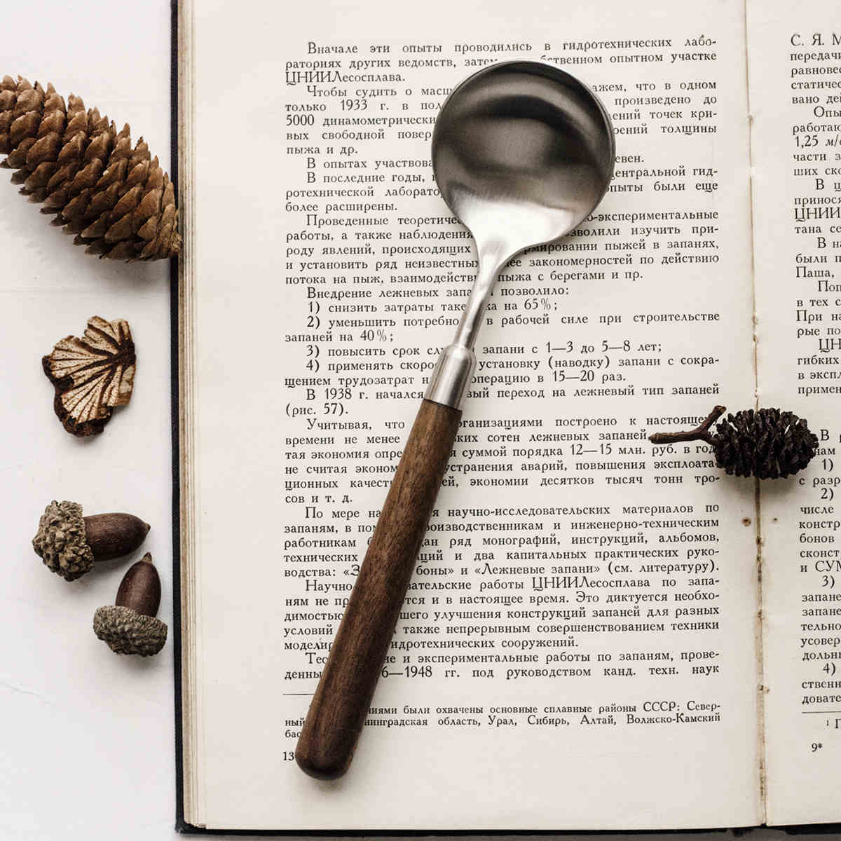 Stainless Steel Cutlery With Black Walnut Handle